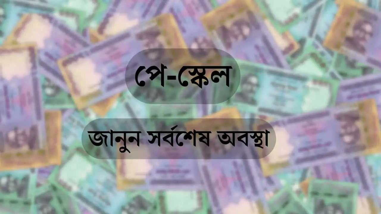 নবম জাতীয় পে-স্কেল ২০২৬: সরকারি কর্মচারীদের নতুন বেতন কাঠামো নিয়ে কী সিদ্ধান্ত আসছে